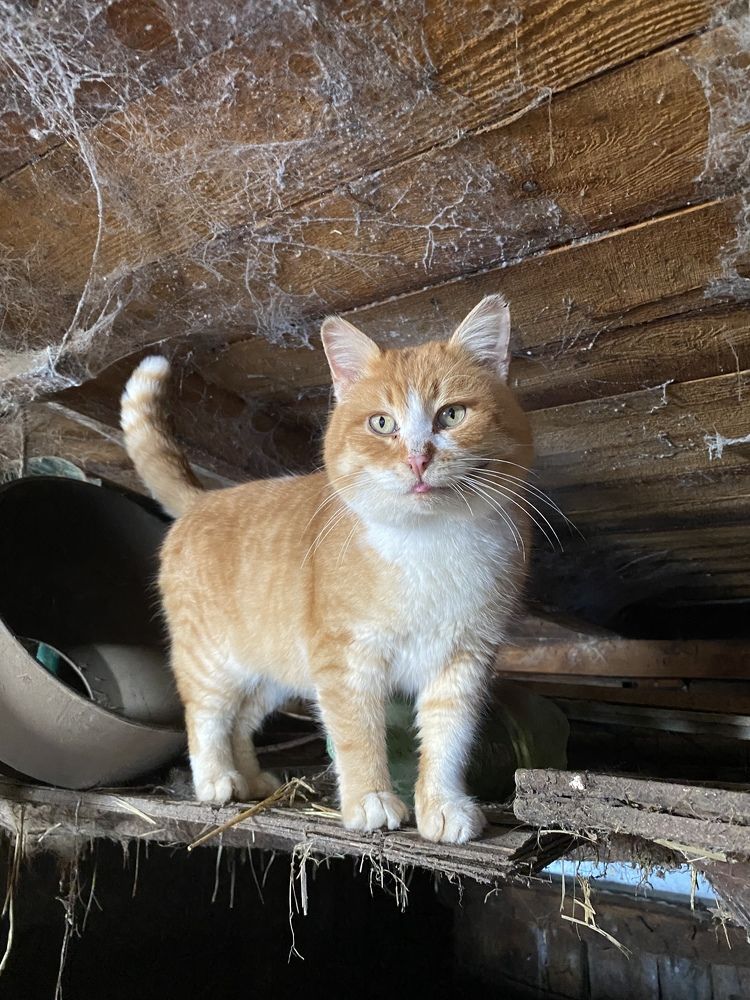 Photograph by Aлександра Чаплыгина