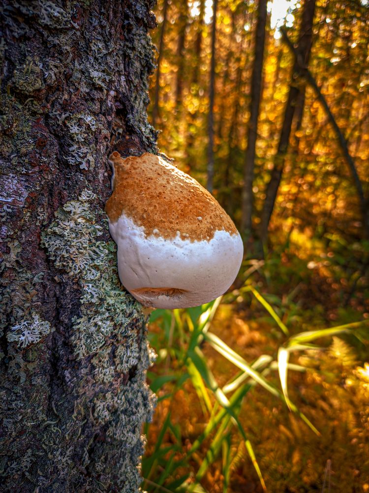 Фотография автора Александр Хухлов