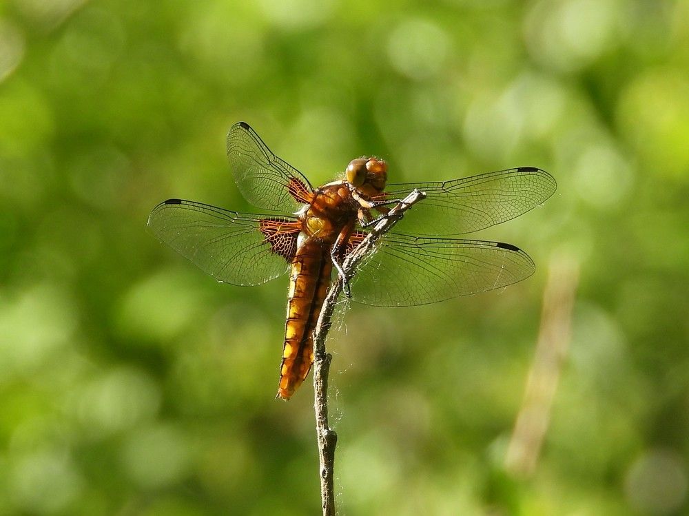 Photograph by Владимир Джерихов