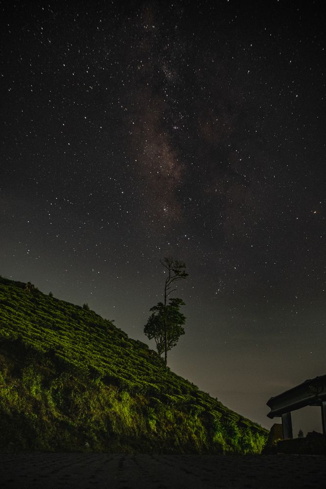Photograph by Pemba Tshering Tamang