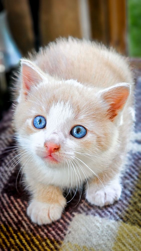 Photograph by Mantas Jancevicius