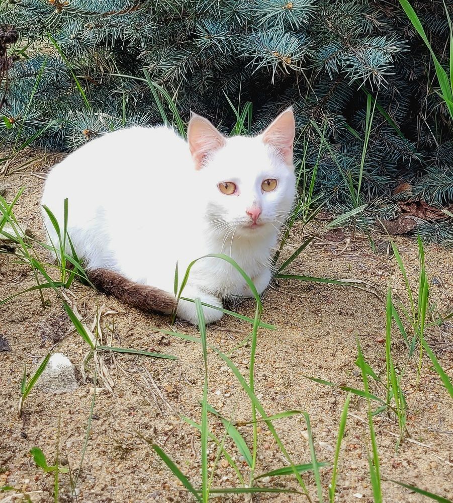 Photograph by Алексей Горин