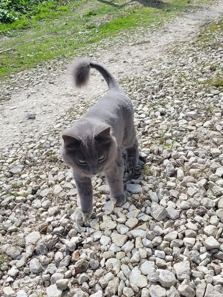 Photograph by Алексей Горин