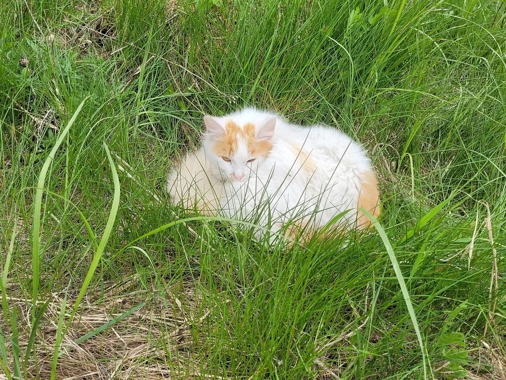 Photograph by Алексей Горин