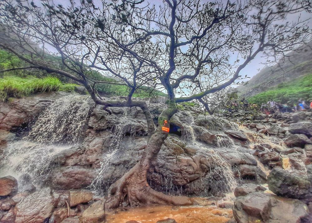 Against the flow