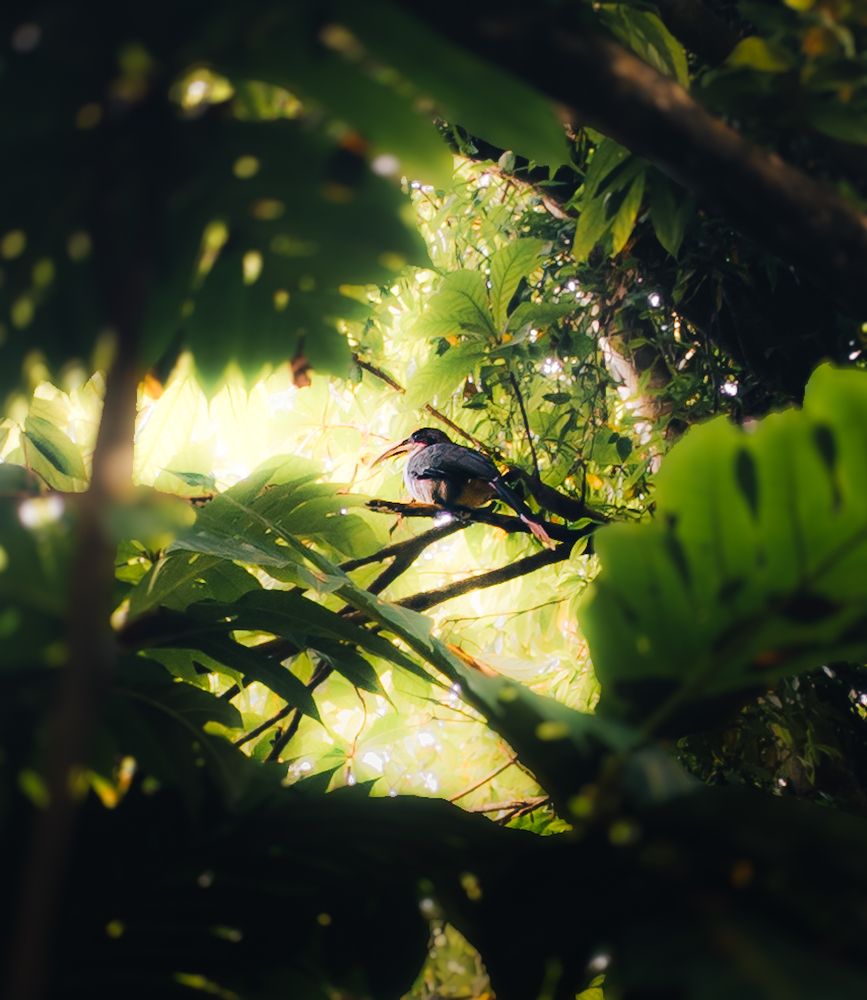 Photograph by Rasindu