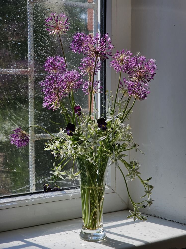 Утро одного дня.