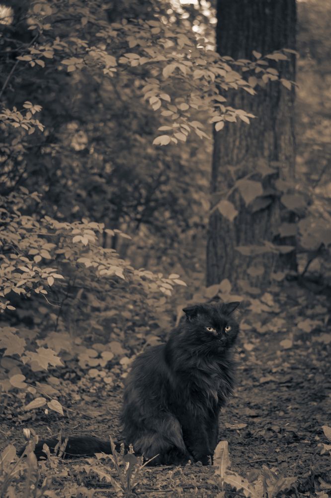 Фотография автора Дмитрий Овчинников