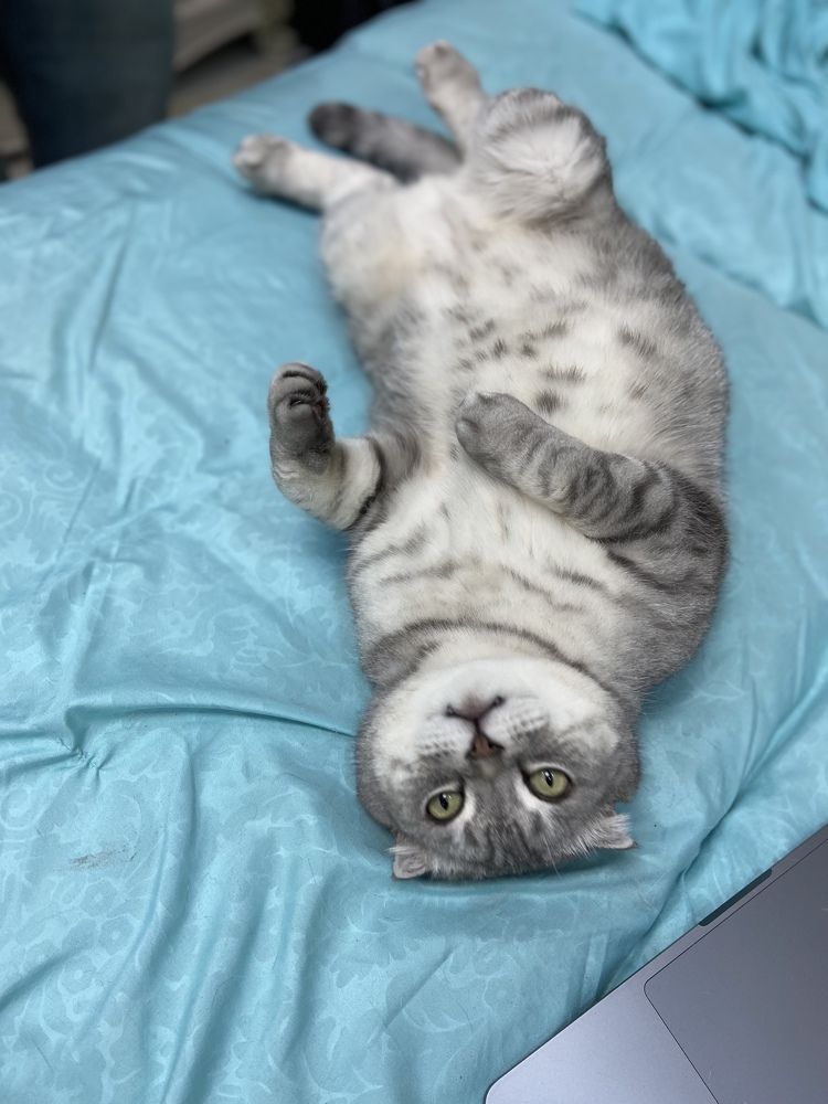 Photograph by Наталья Душакова