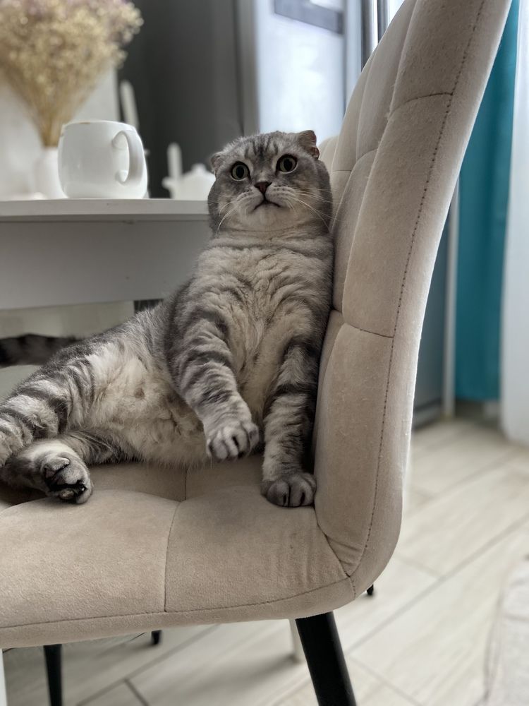 Photograph by Наталья Душакова