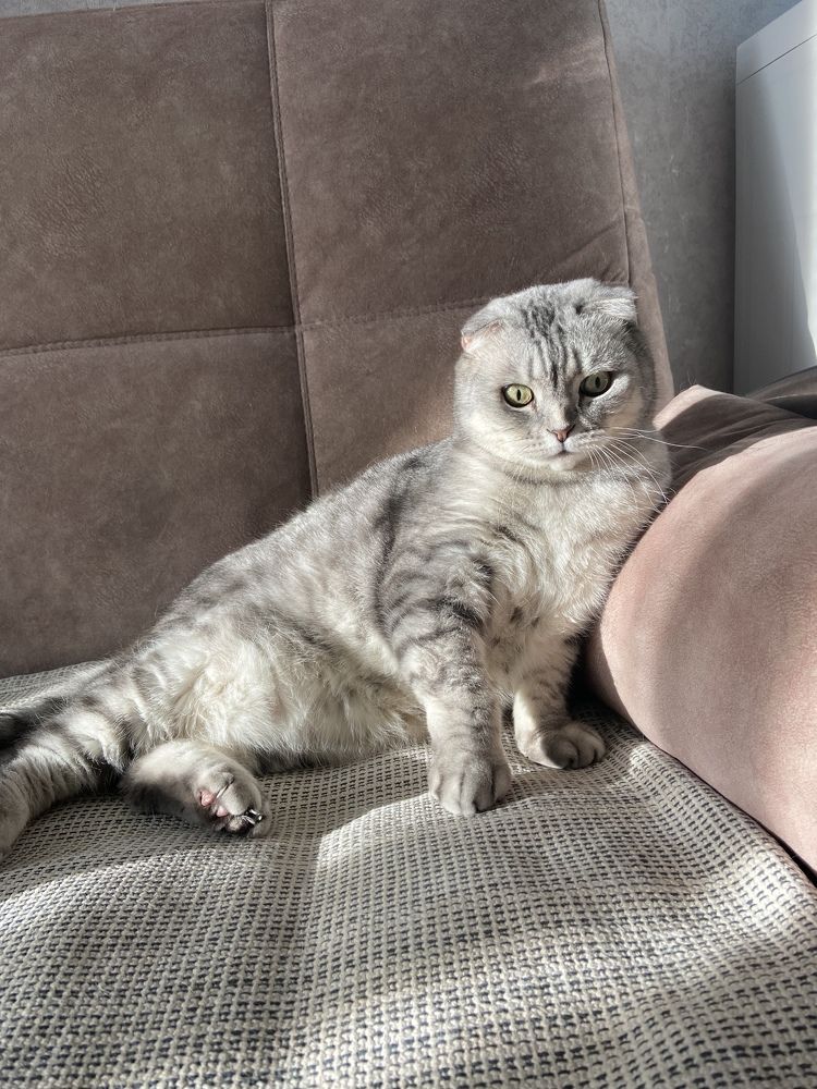 Photograph by Наталья Душакова