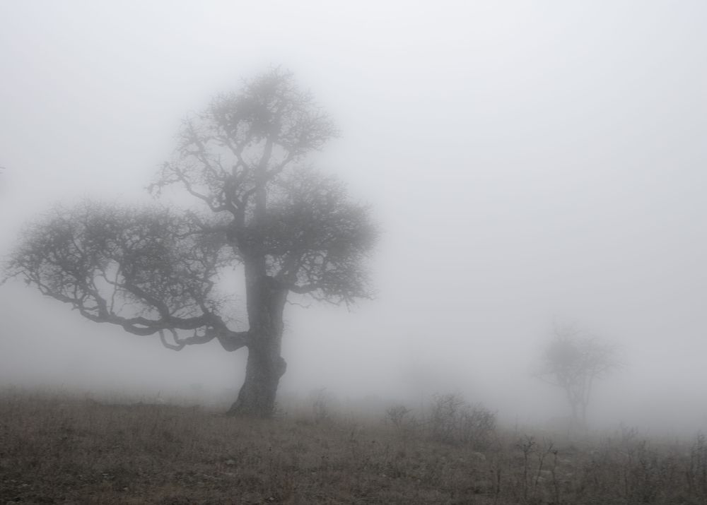 Photograph by Юрий Юрченко