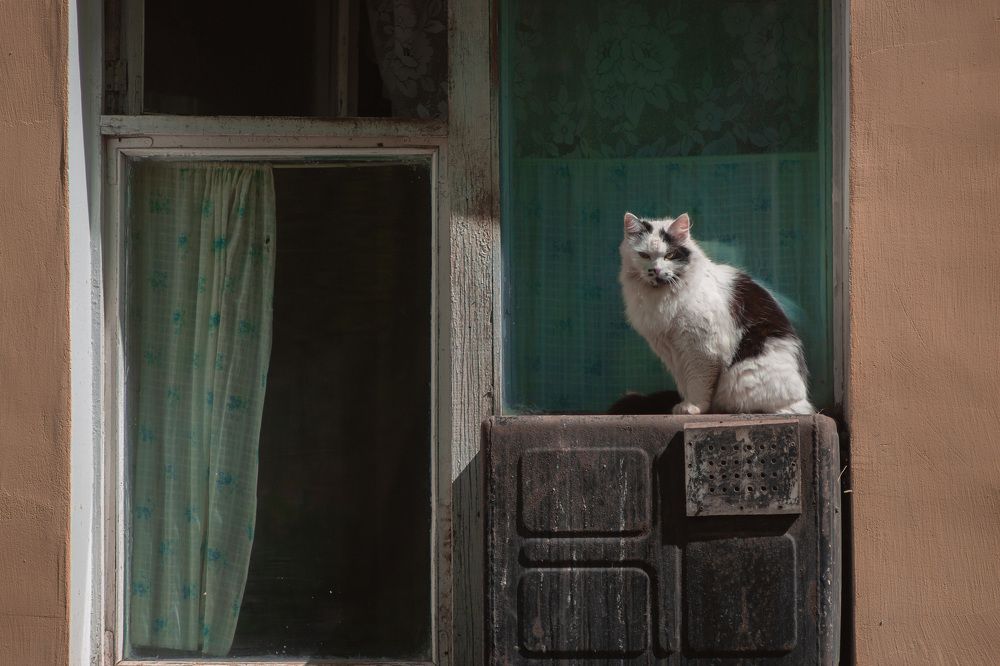 Фотография автора Дмитрий Овчинников