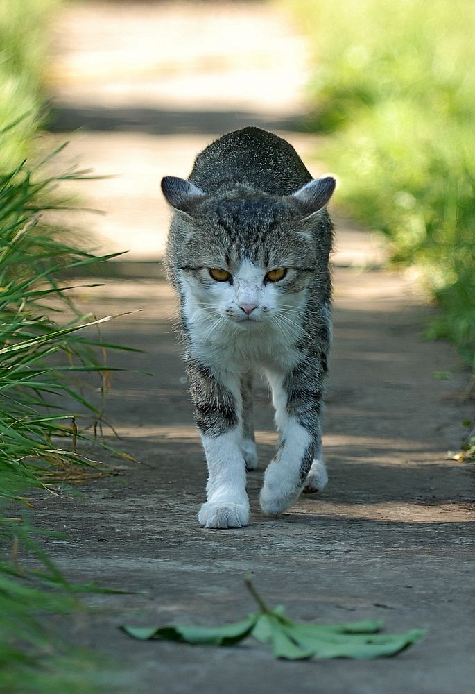 Photograph by Алексей Volg