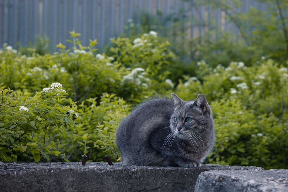 Фотография автора Дмитрий Овчинников