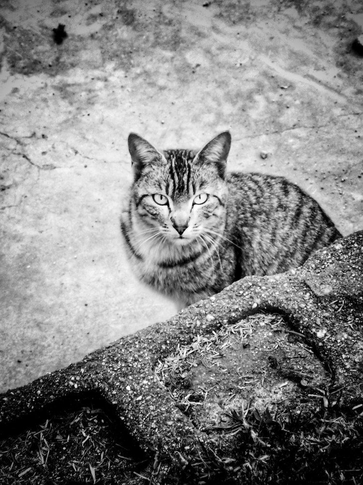 Photograph by Ivan Avitia