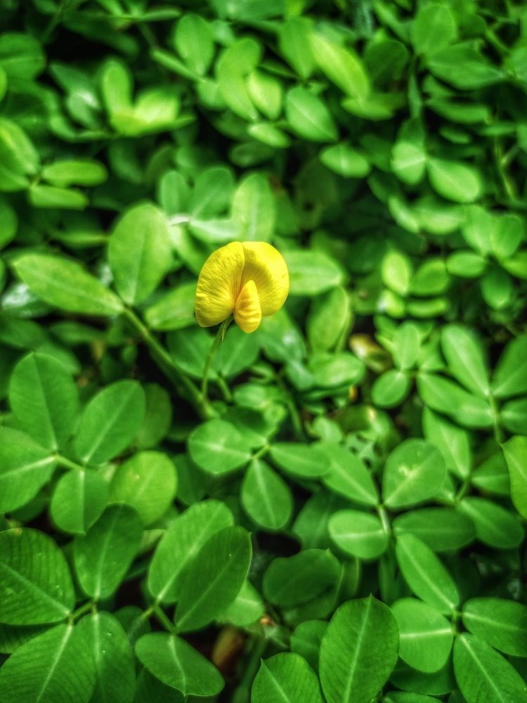 Photograph by Faisal Fasaludeen