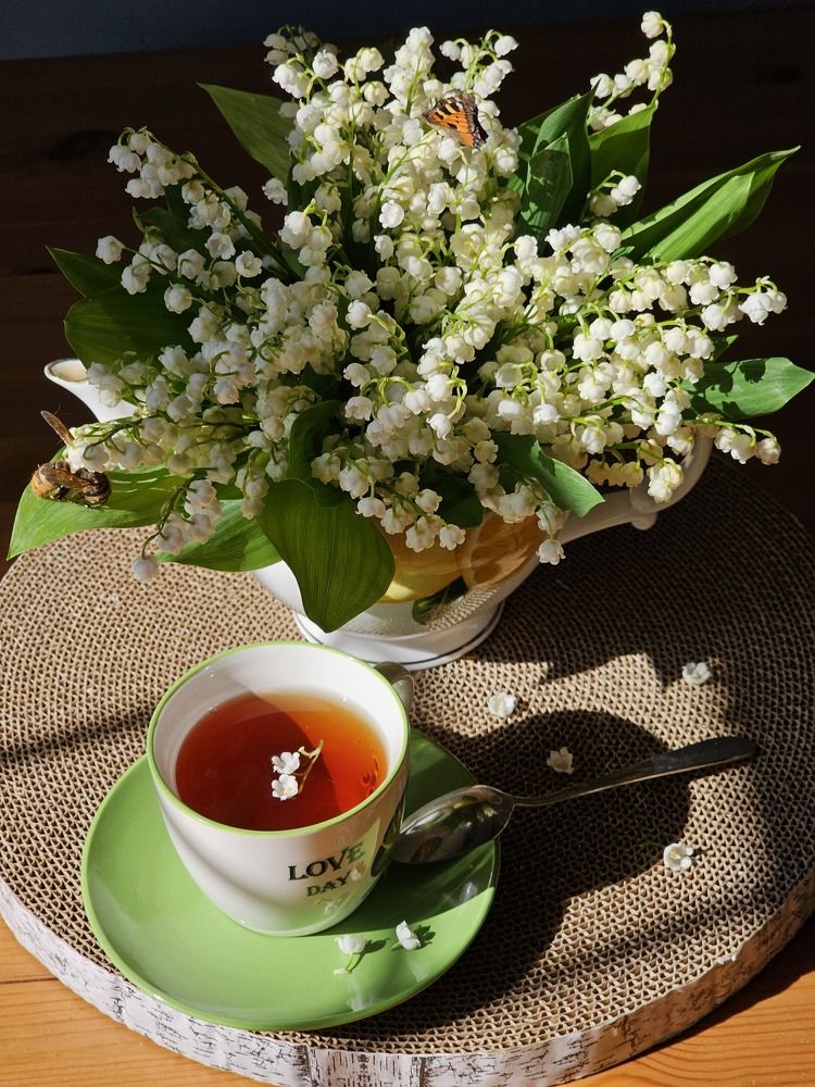 Ароматы дачи.