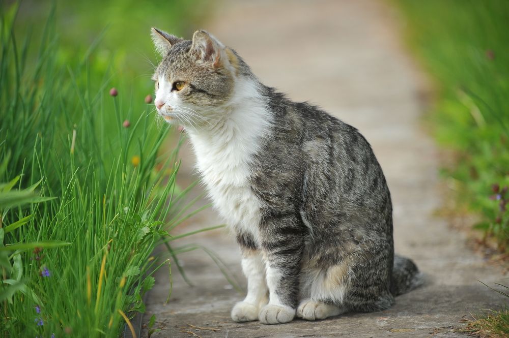 Photograph by Алексей Volg