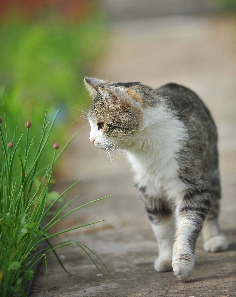 Photograph by Алексей Volg