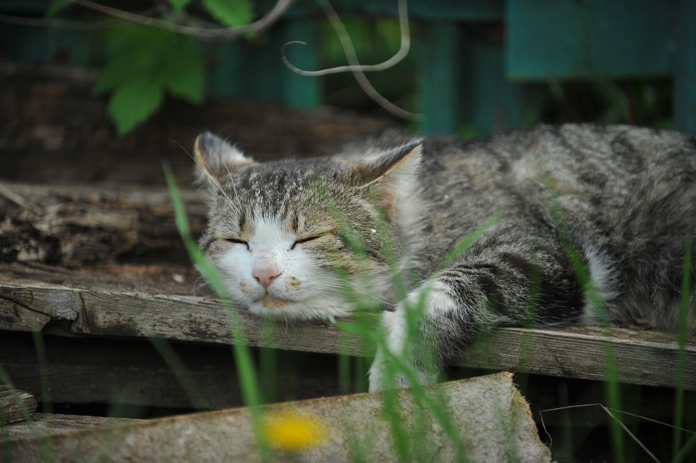 Photograph by Алексей Volg