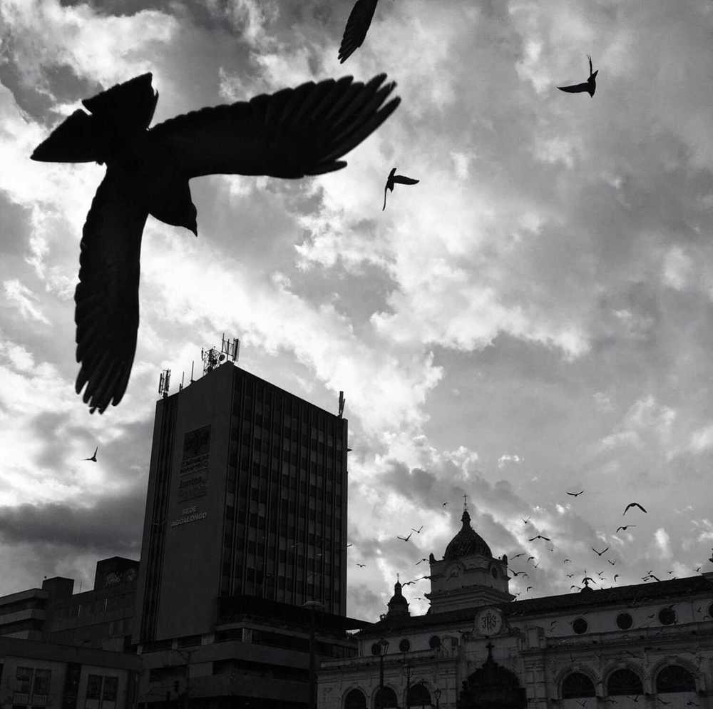Photograph by Alia Clarissa Vodniza