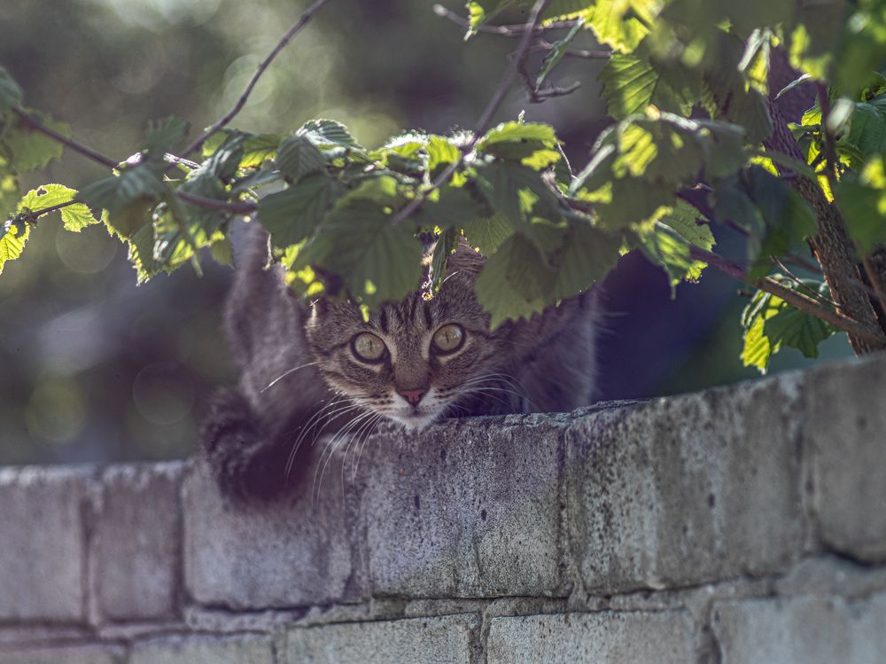 Photograph by Дмитрий Давидов
