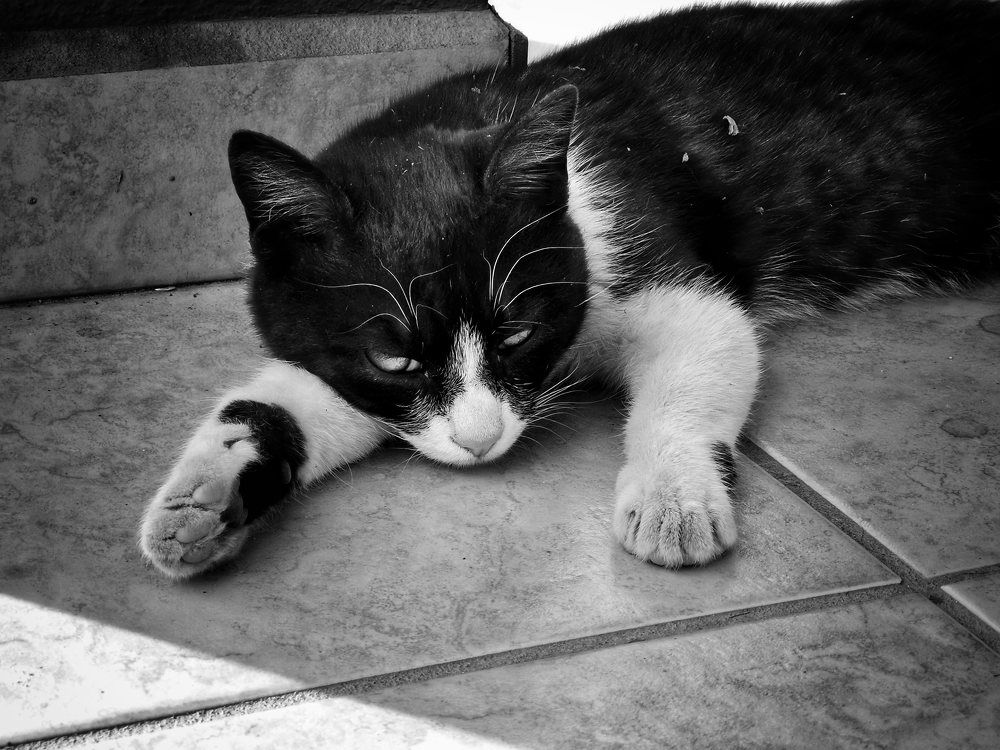 Photograph by Ivan Avitia