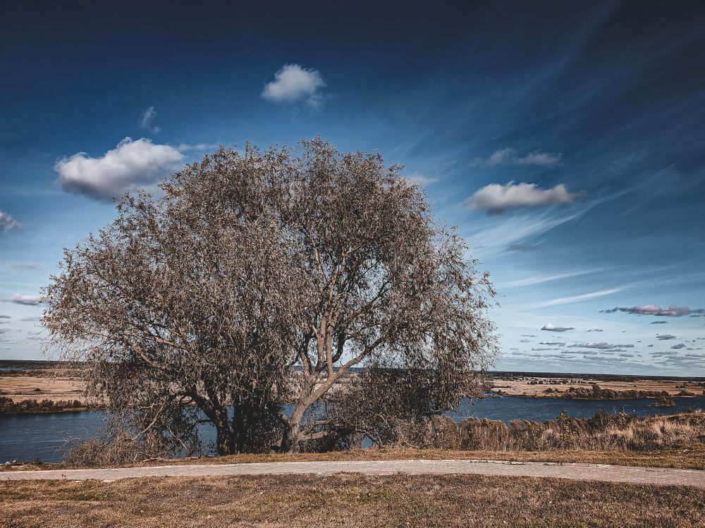Фотография автора Нина Зинченко