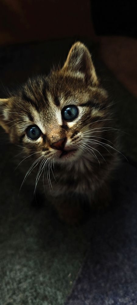 Photograph by Анна Курлова