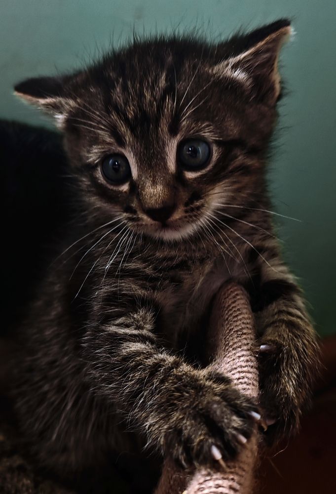 Photograph by Анна Курлова