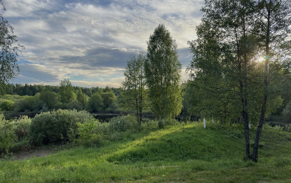 Photograph by Kuzmichev Alexey