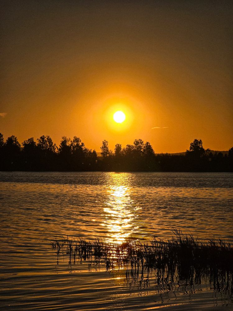 Photograph by Елена Ромашкина