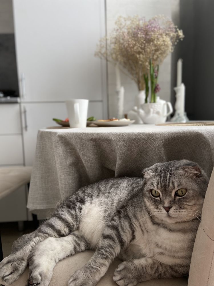 Photograph by Наталья Душакова