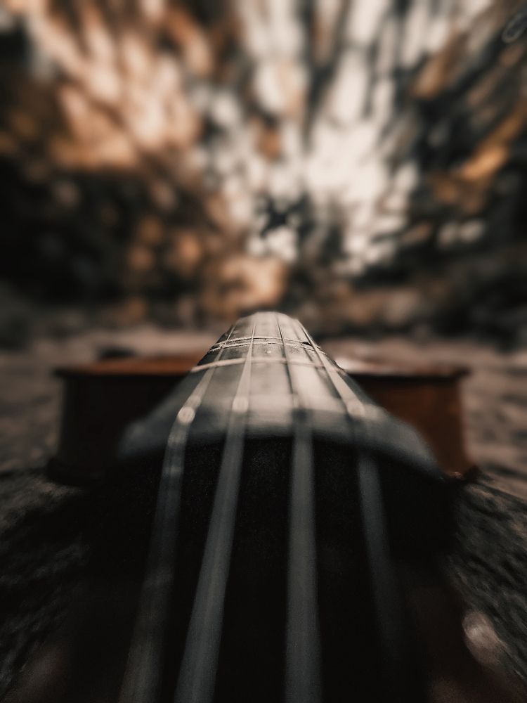 Photograph by Rasindu