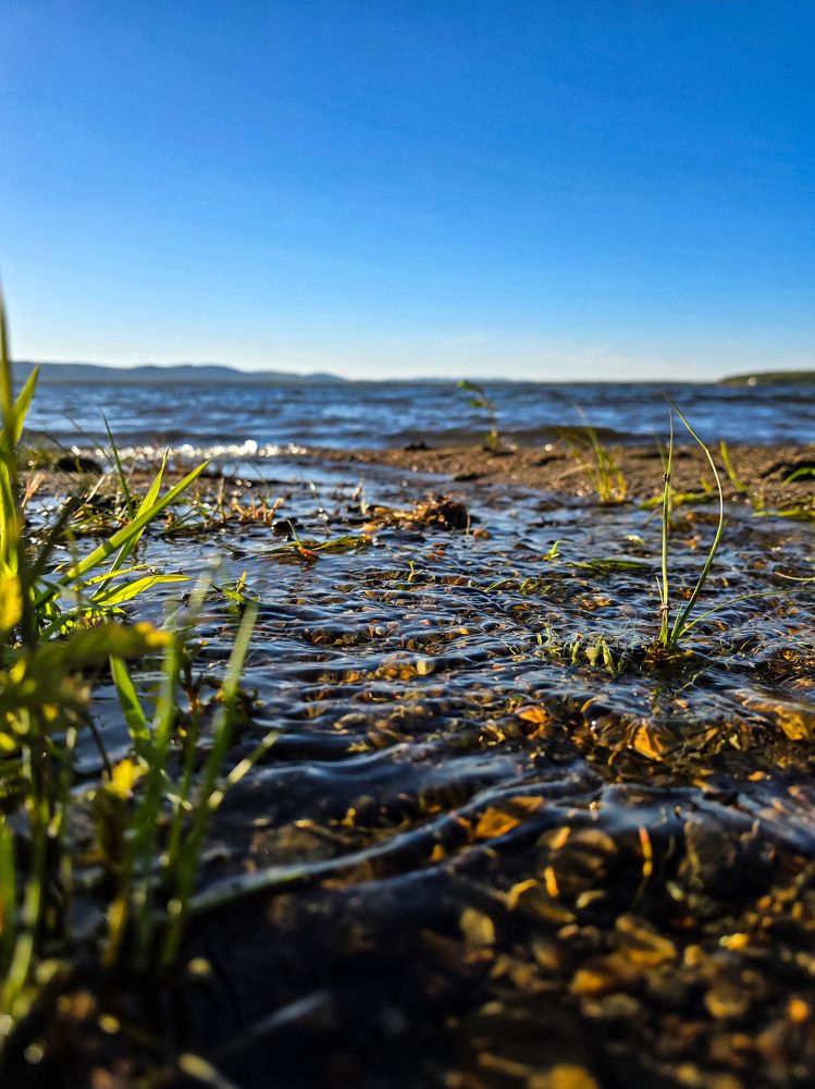 Photograph by Елена Ромашкина