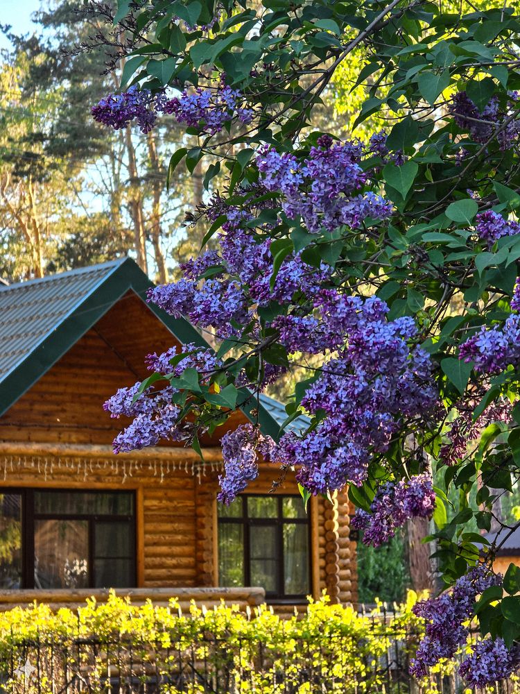 Photograph by Елена Ромашкина