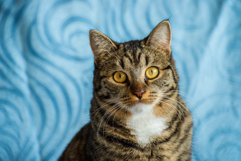 Photograph by Ирина