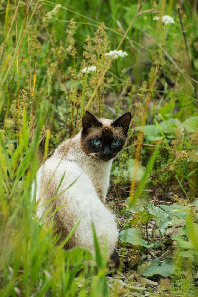 Photograph by Ирина