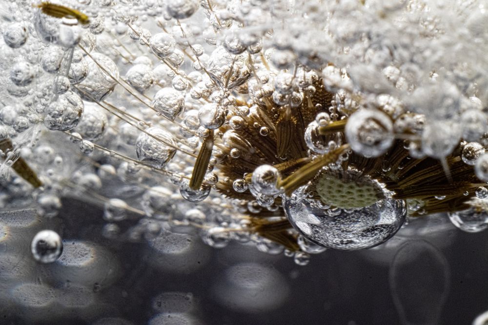 Photograph by Дмитрий Давидов