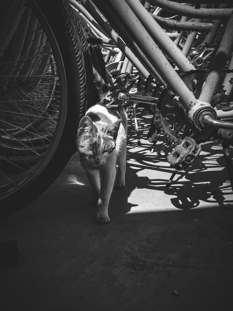 Photograph by Ivan Avitia