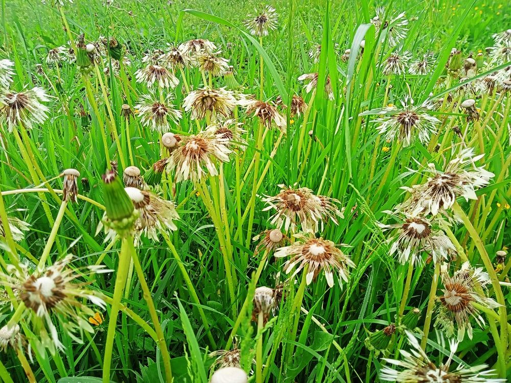 Photograph by Валентина Смирнова