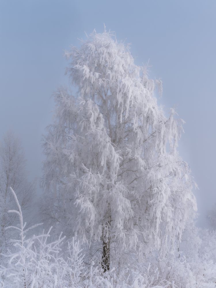Photograph by Екатерина Дубровская