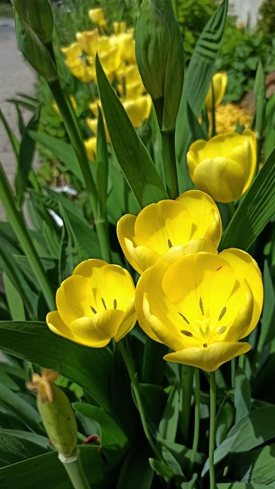 Photograph by Людмила Щуцкая