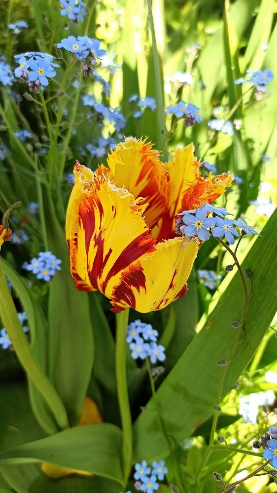 Photograph by Людмила Щуцкая