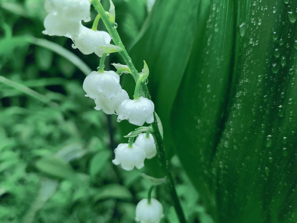 Photograph by Наталья Веряскина