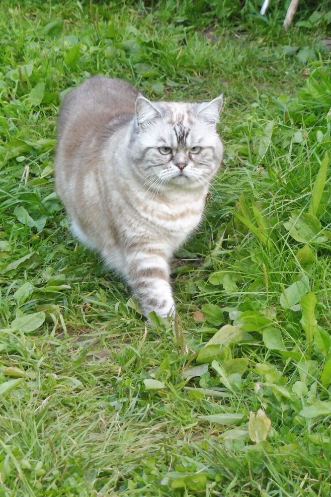 Фотография автора Клавдия Васильева