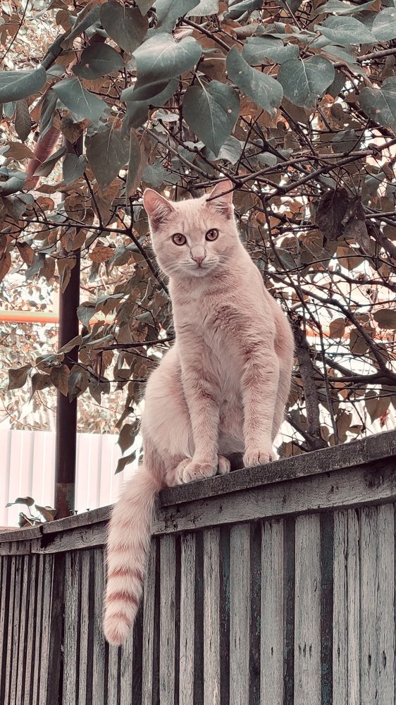 Photograph by Максим Сундеев