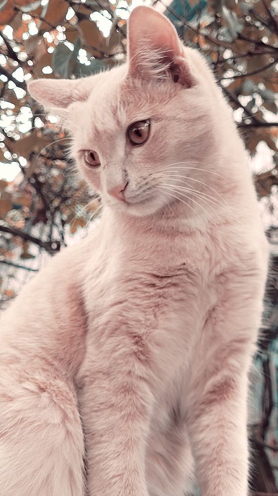 Photograph by Максим Сундеев