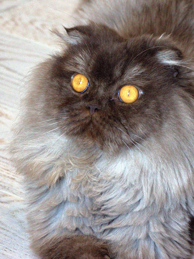 Photograph by Максим Сундеев